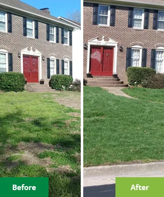 Brick colonial front lawn before and after: bare spots filled in and color restored