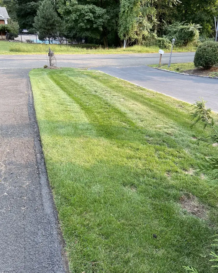 The same strip of lawn thick, green and striped after Hydra-Guard treatment