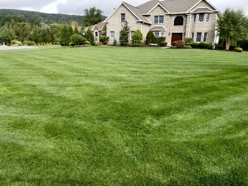 Thick, striped front lawn in front of a stone colonial on a Lawn Doctor program