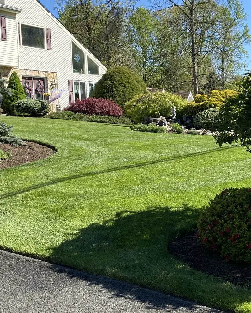 A customer lawn on one of our three programs