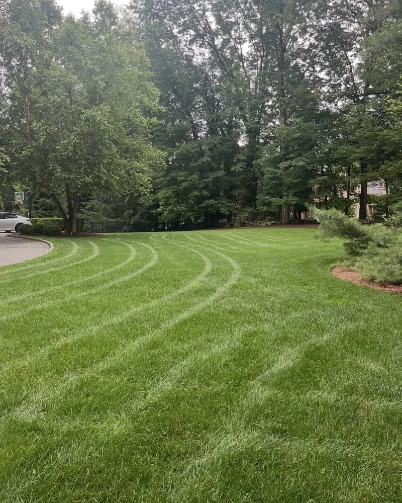 A customer lawn on one of our three programs