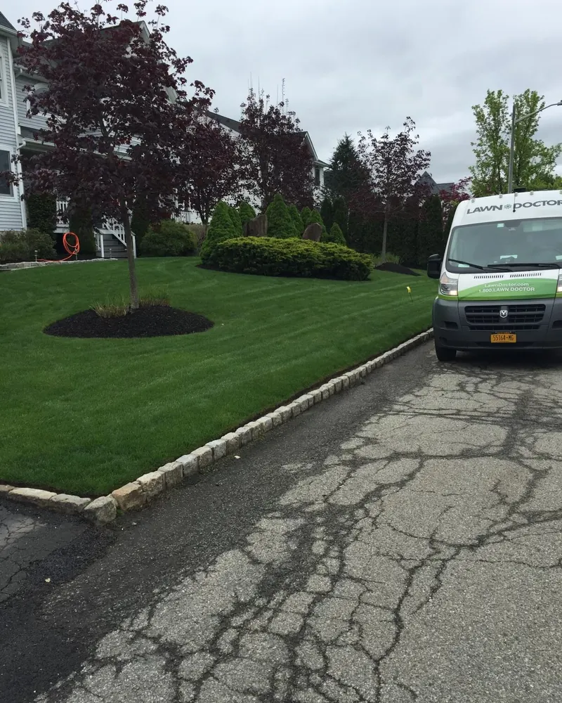 One of our trucks on a spring route