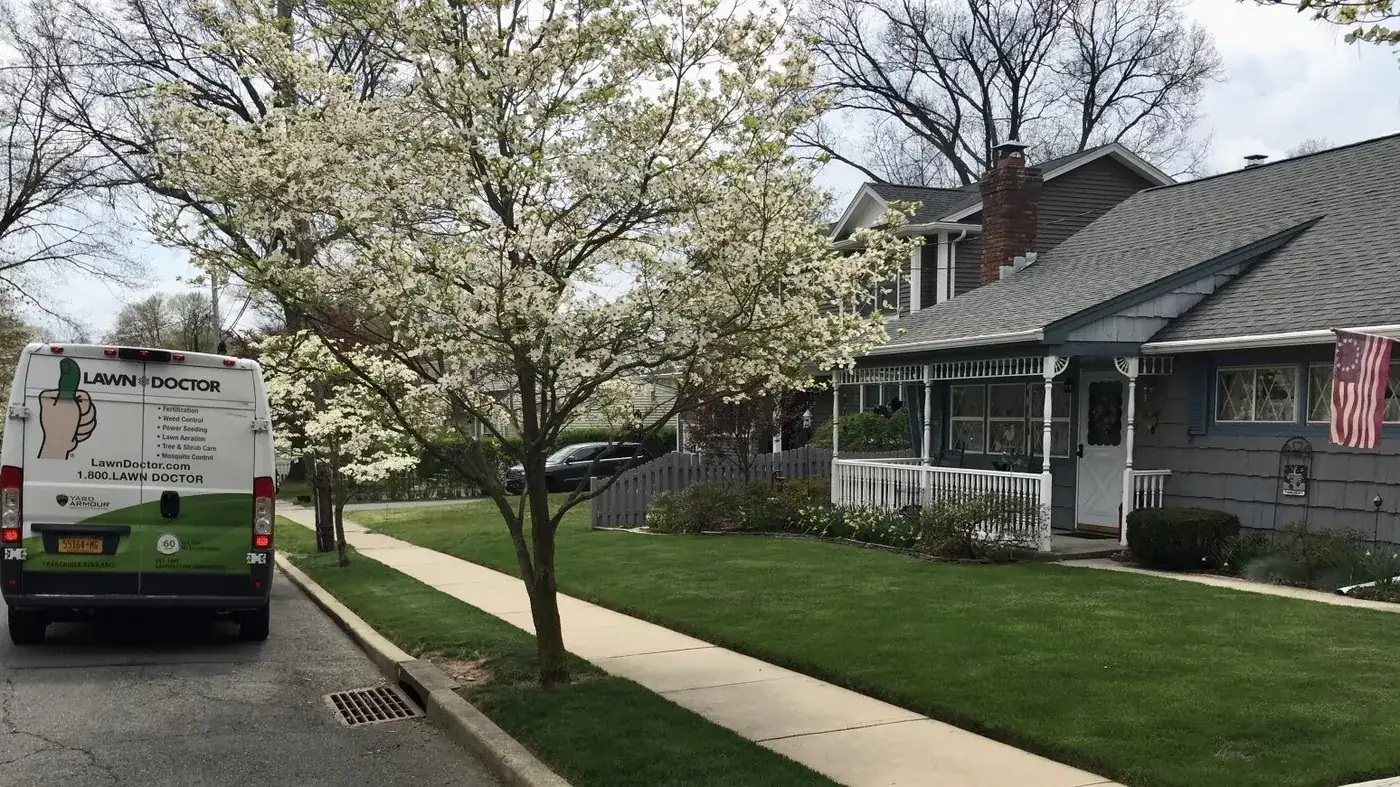 Lawn Doctor truck under a blooming dogwood on a customer’s street